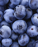 b9ec3ba095174d5337b14a90576aefee