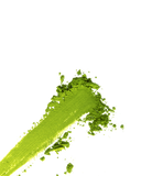3b7fa29f359c9dffcc7962d2d6bffa22