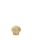 e81e7edd9f020906d6c8b265fbd96109