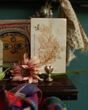 2b50d78c5db27de5117f09b3291ade3d