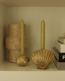 2e5c6efca7a4223fce5a048c592aa4b2