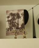 a22c52d855eb6afed4563d3714f9186d