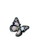 8582f4716f295564cbfa4556fe8f20fc