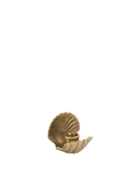 bebd3703987910e3c27b86a1f38f1bfc