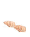 2e4501ac83f4b050e839a2bb5c169c91