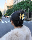 31233c5717a7786ce7cf0560a8c3e23e