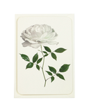 2b76ce1770d01bed8fbcef4d05f399a8