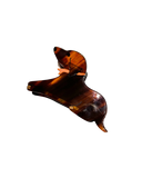 e359853977e0cd0bc9208cc924a97668