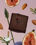 a849bb6a382ae31173ff66e348be7ec9